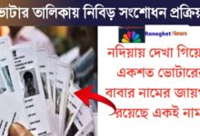 Excitement in Nadia(নদীয়ায় চাঞ্চল্য)