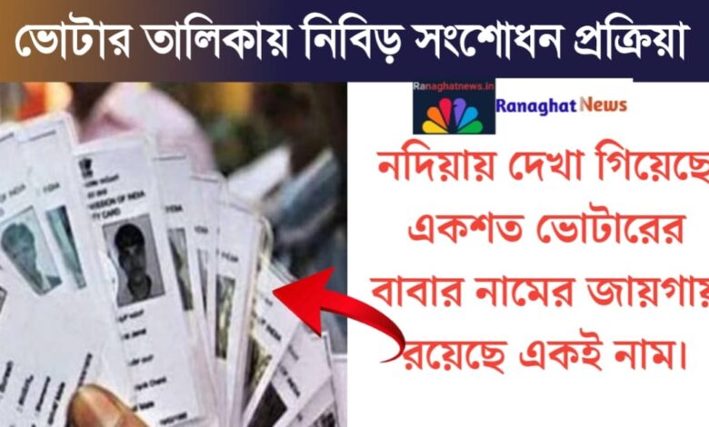 Excitement in Nadia(নদীয়ায় চাঞ্চল্য)