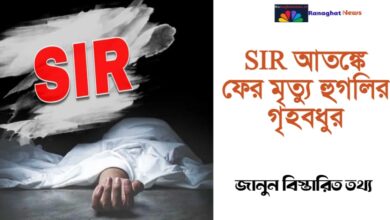 SIR dies again in 'panic'(SIR ‘আতঙ্কে’ ফের মৃত্যু)