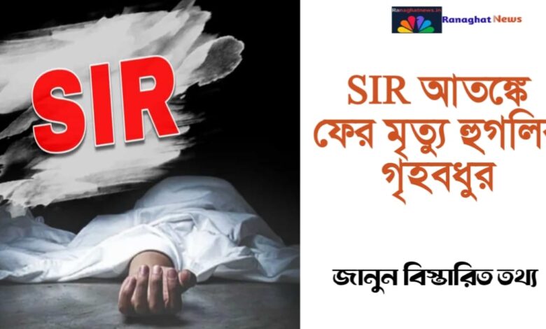 SIR dies again in 'panic'(SIR ‘আতঙ্কে’ ফের মৃত্যু)