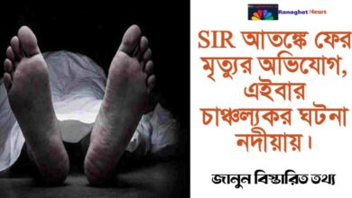 SIR is in panic.(SIR আতঙ্কো)